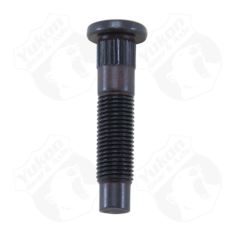 fassmotorsports43943023