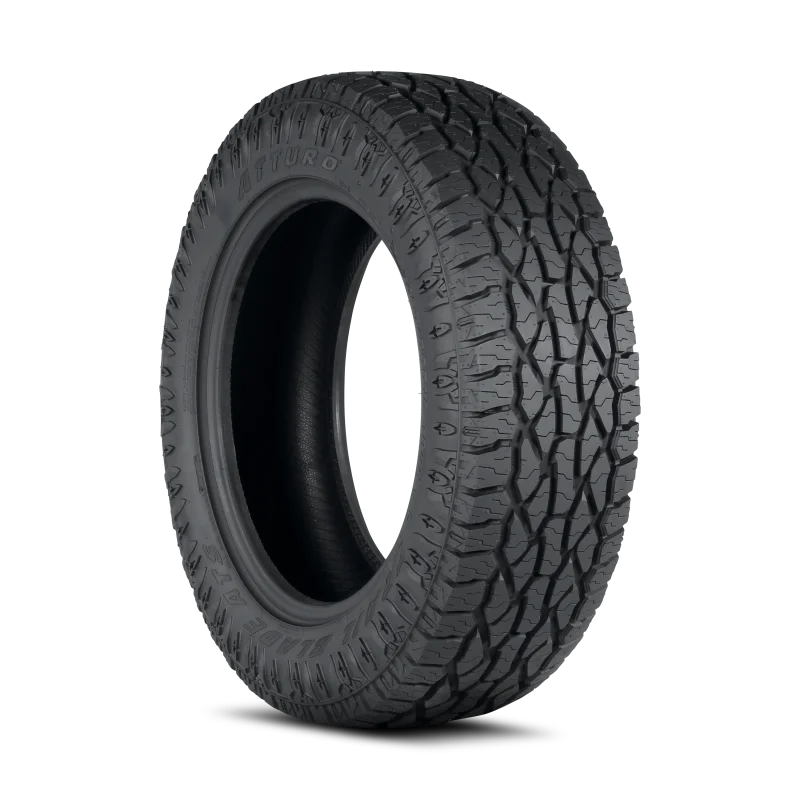 fassmotorsports73596539