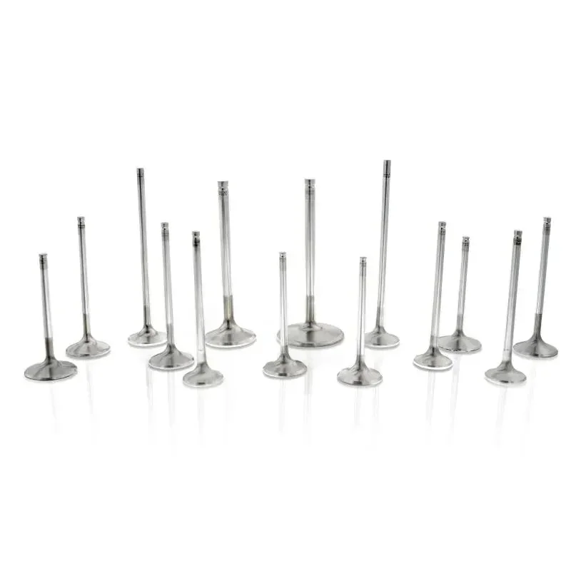 fasthemis13872412
