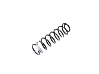 moparpartsgiant14-4276397